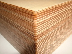 Lenco L75 MPX Zarge lackiert 05